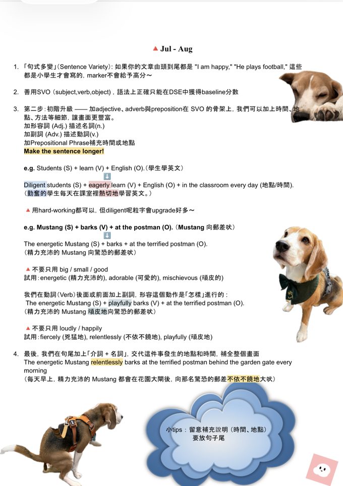 初中英文筆記示例:句式升級筆記,圖多色彩多